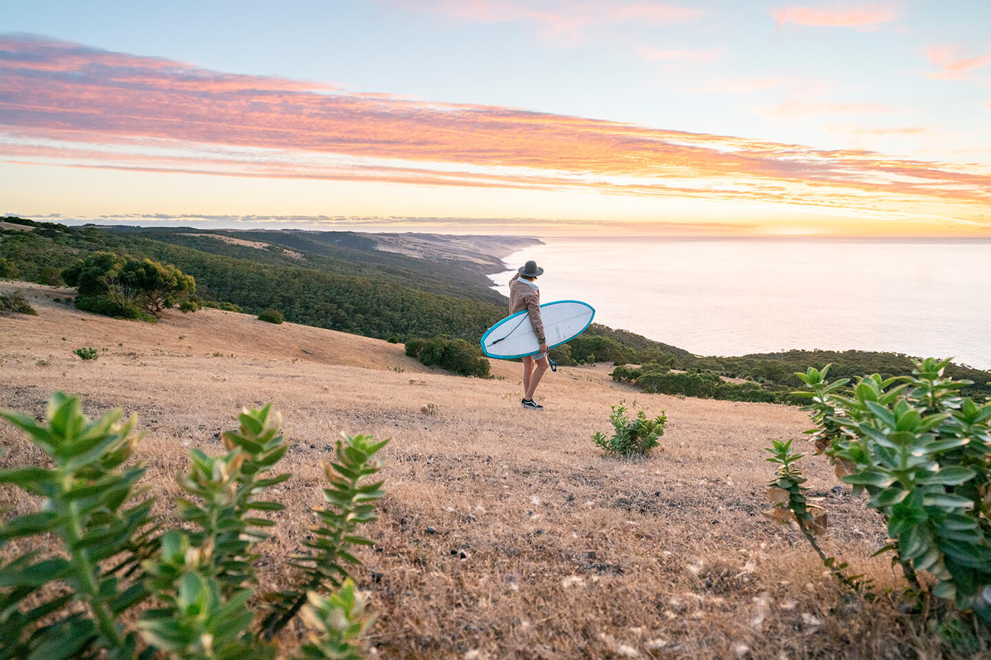 modern-surfboards-surfshop noordzee boardstore scheveningen falcon retro longboard pu eps double wide surf skate egg fish surfboard flippers bodysurf skimboard scheveningen vlissingen domburg cap skiring
