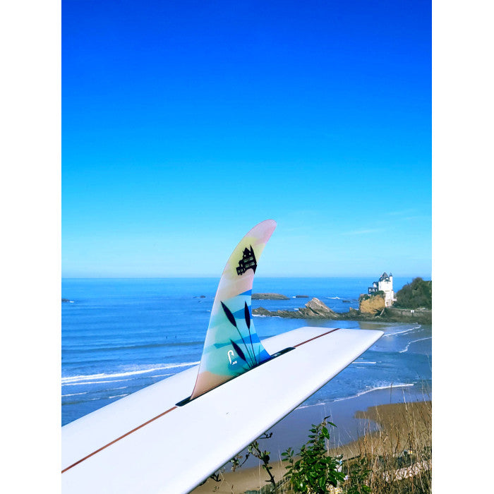 Noordzee Boardstore Surfshop Scheveningen Just Fins Biarritz