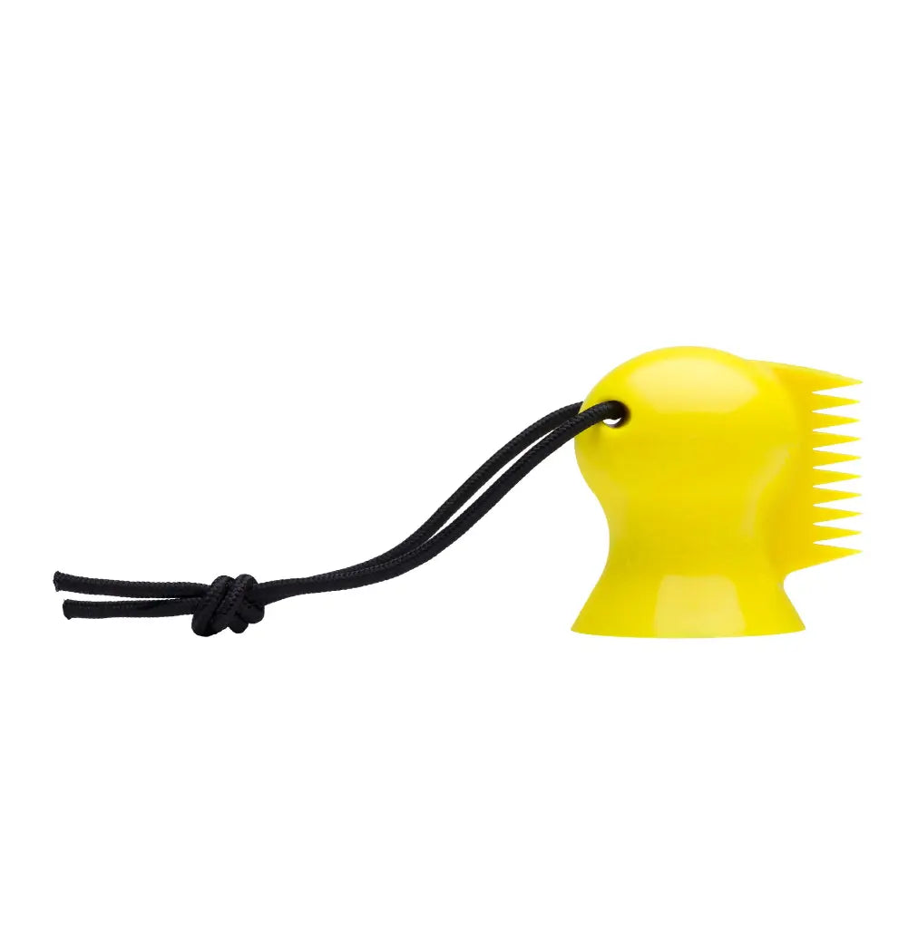 best surf spain pointbreak slap beachbreak rivermouth  