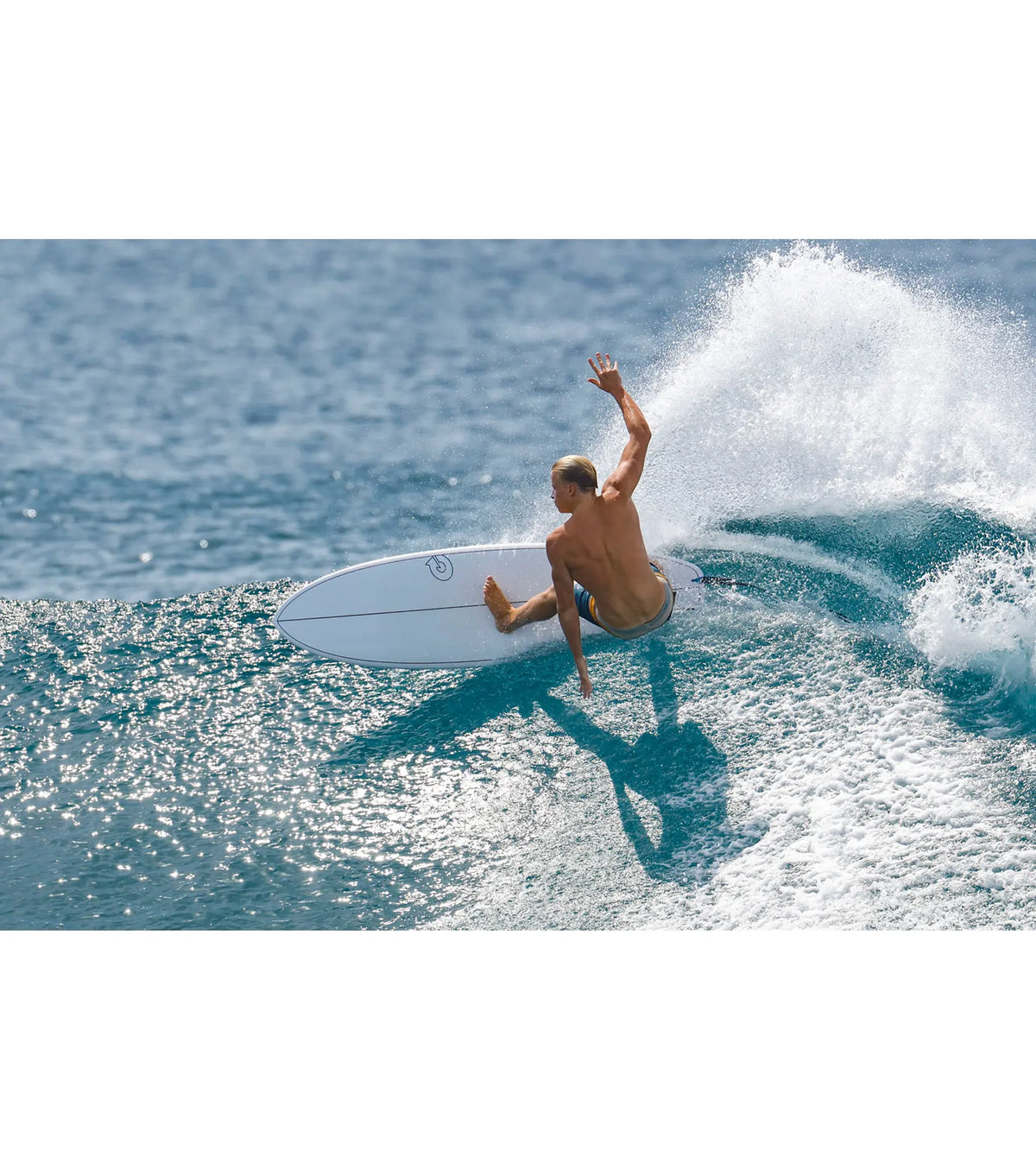 Torq BigBoy 23 TET - Futures - 5 Fin - Laguna