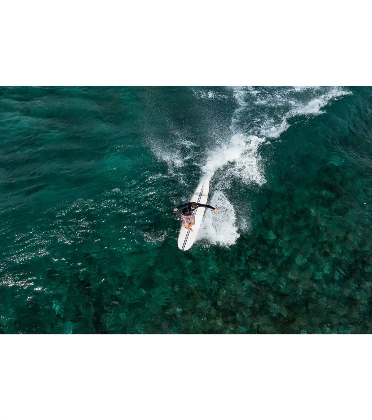 Torq The Don NR ACT - Futures - 2 + 1 Fin