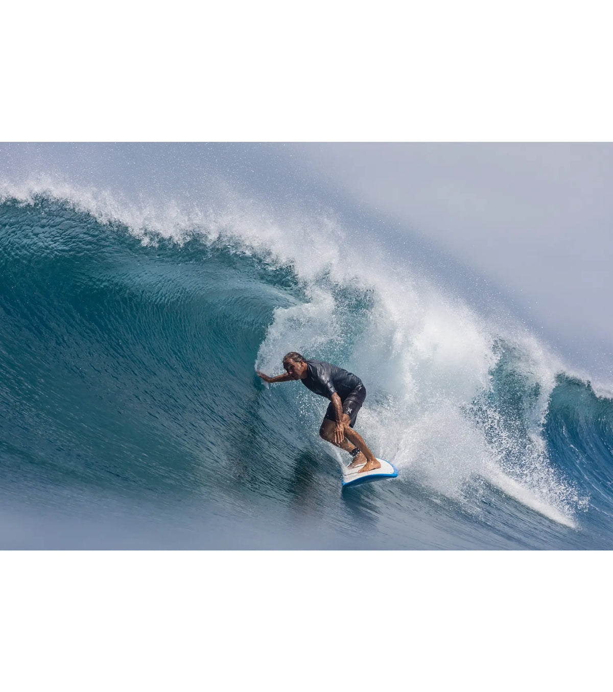 Torq Longboard TET - Futures - 2 + 1 Fin - Legacy