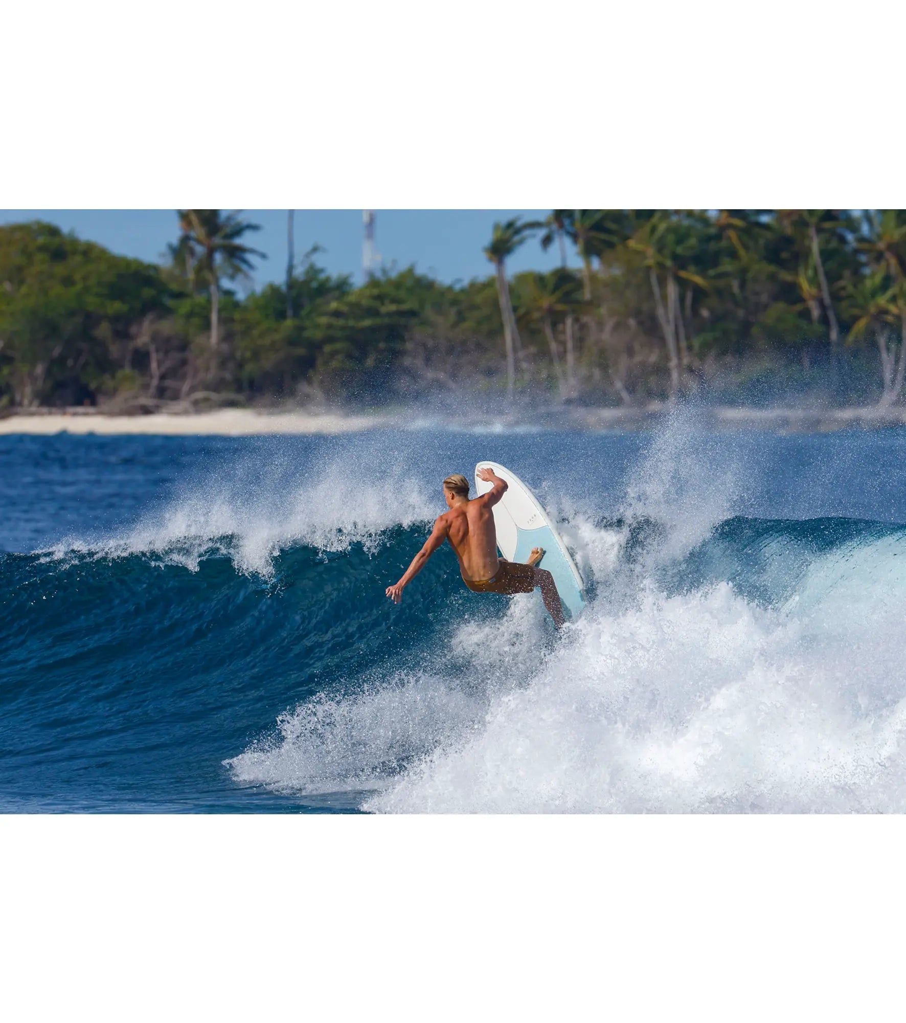 Torq Mod Fun TET - Futures - 3 Fin