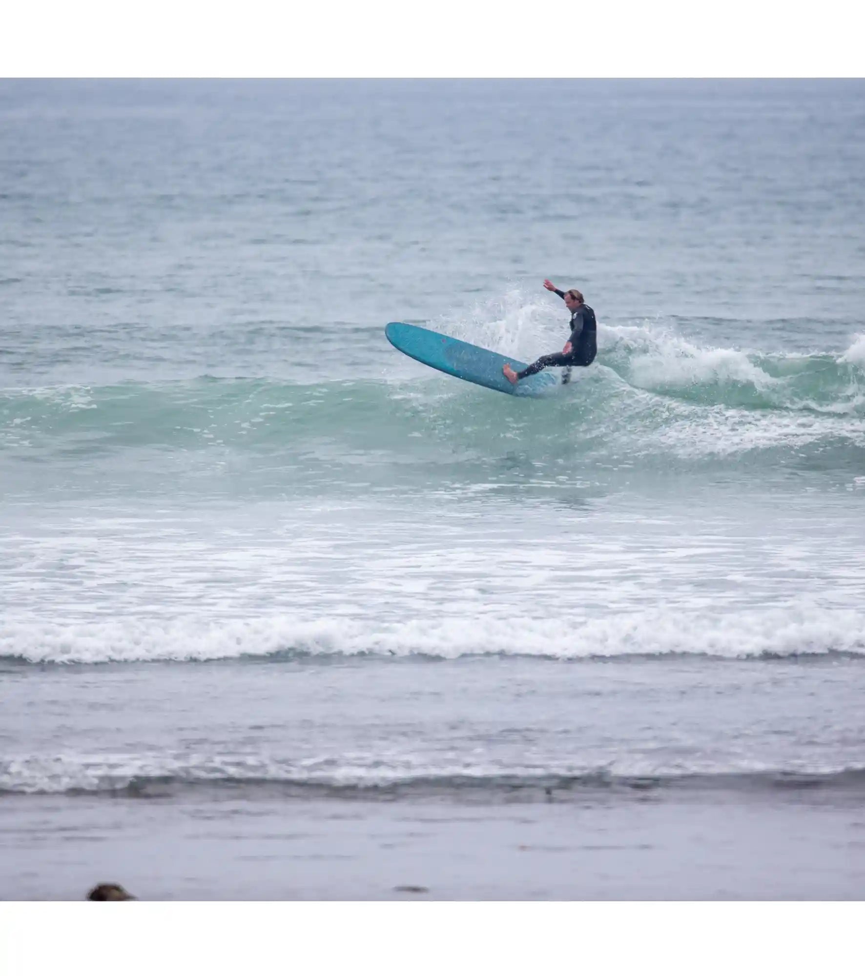 Wayne Rich - Checkmate - NFT - Single Fin