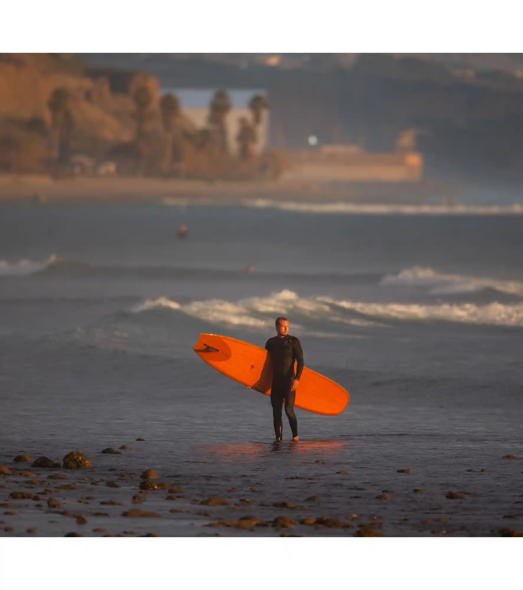 Wayne Rich - Wildcard 3 - NFT - Single Fin