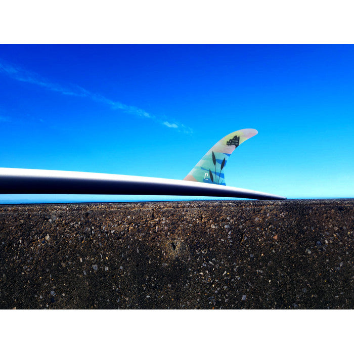 Noordzee Boardstore Surfshop Scheveningen Just Fins Biarritz