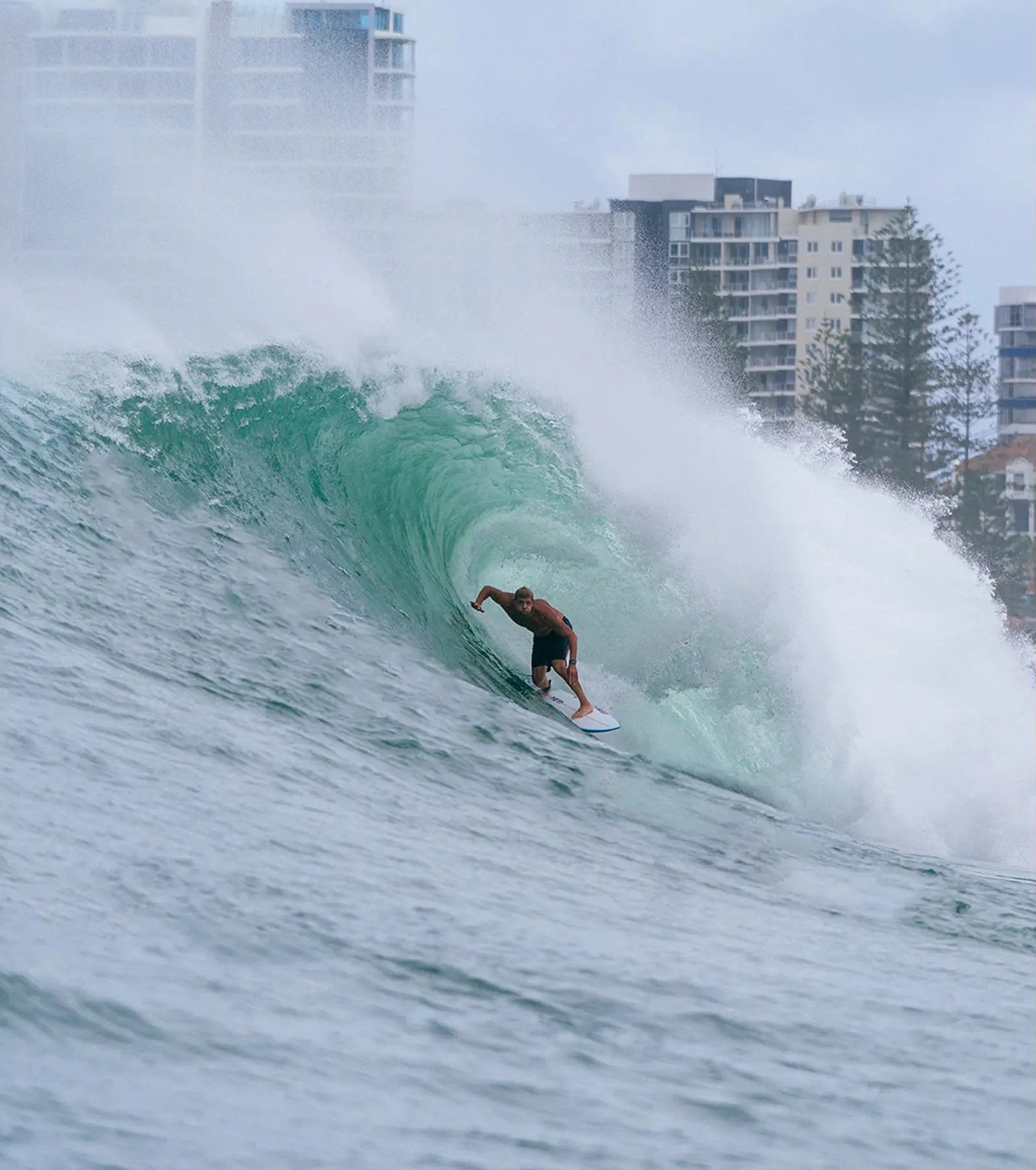 noordzee boardstore scheveningen surfshop webshop torq santa cruz hossegor