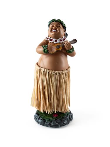 Devoted devoted hawaiian hula dashboard boy  Noordzee Boardstore surfshop Scheveningen